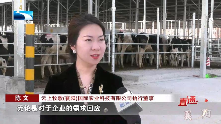 开云体育官网:英雄联盟S赛选手采访,开云体育带您听选手心声