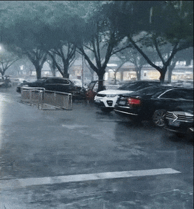 如何使用开云体育APP获得奥运会赛事的精彩动态?