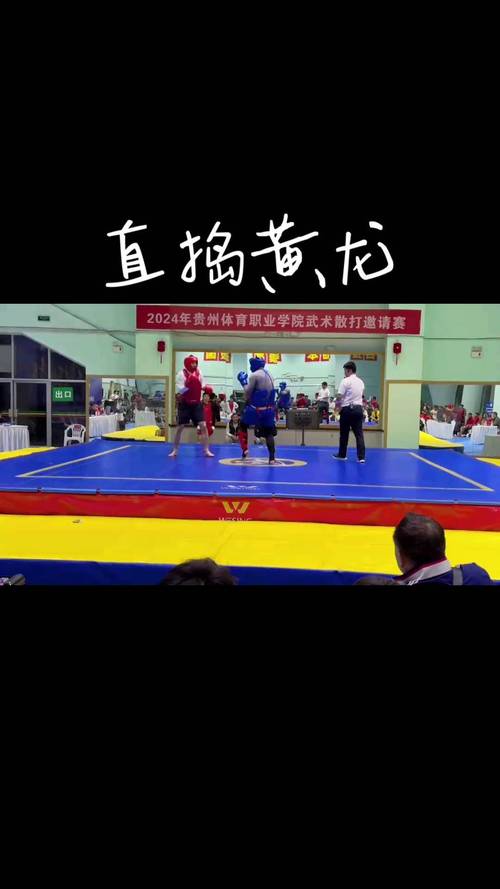 「开云体育官网抒发重拳KO之壮观：当所有准备只为最后一击，全场沸腾的画面铭刻入史」